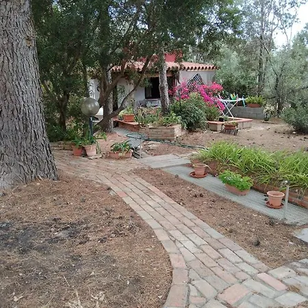 Tiny House *