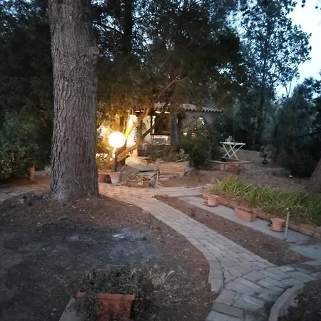 Tiny House בית נופש