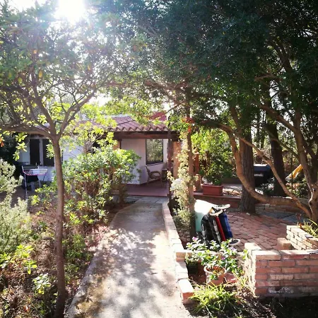 Tiny House Dom wakacyjny