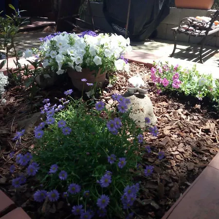 Tiny House * Cagliari