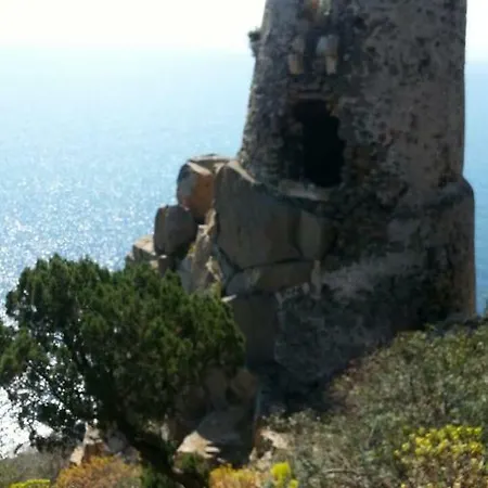 Tiny House Nyaraló