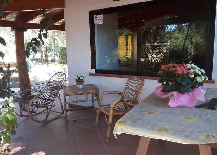 Ferienhaus Tiny House