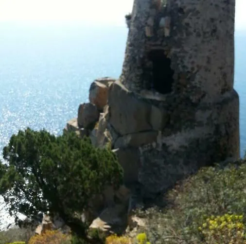 Tiny House Ferienhaus